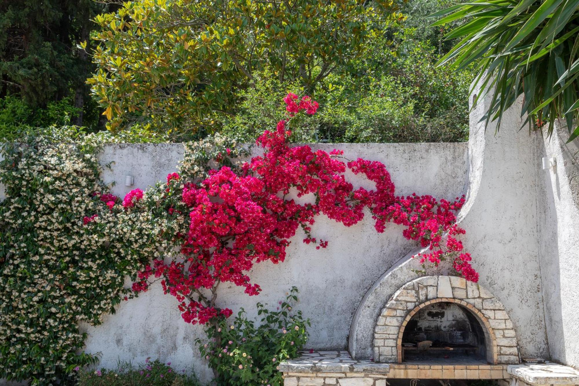 Ionian Garden - Olea * Benitses (Corfu)