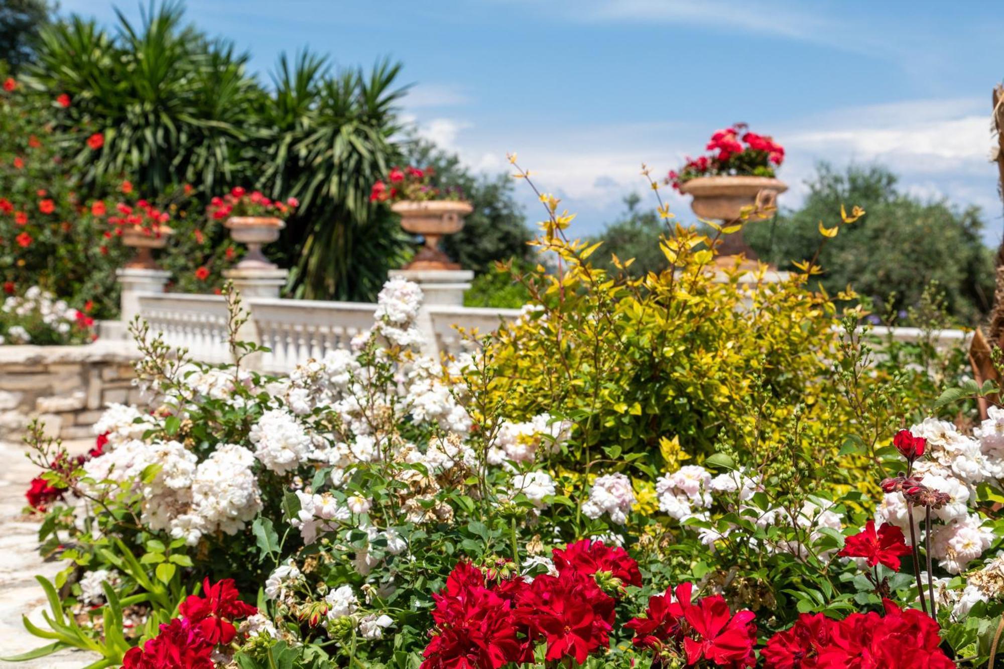 Villa Ionian Garden - Olea *
