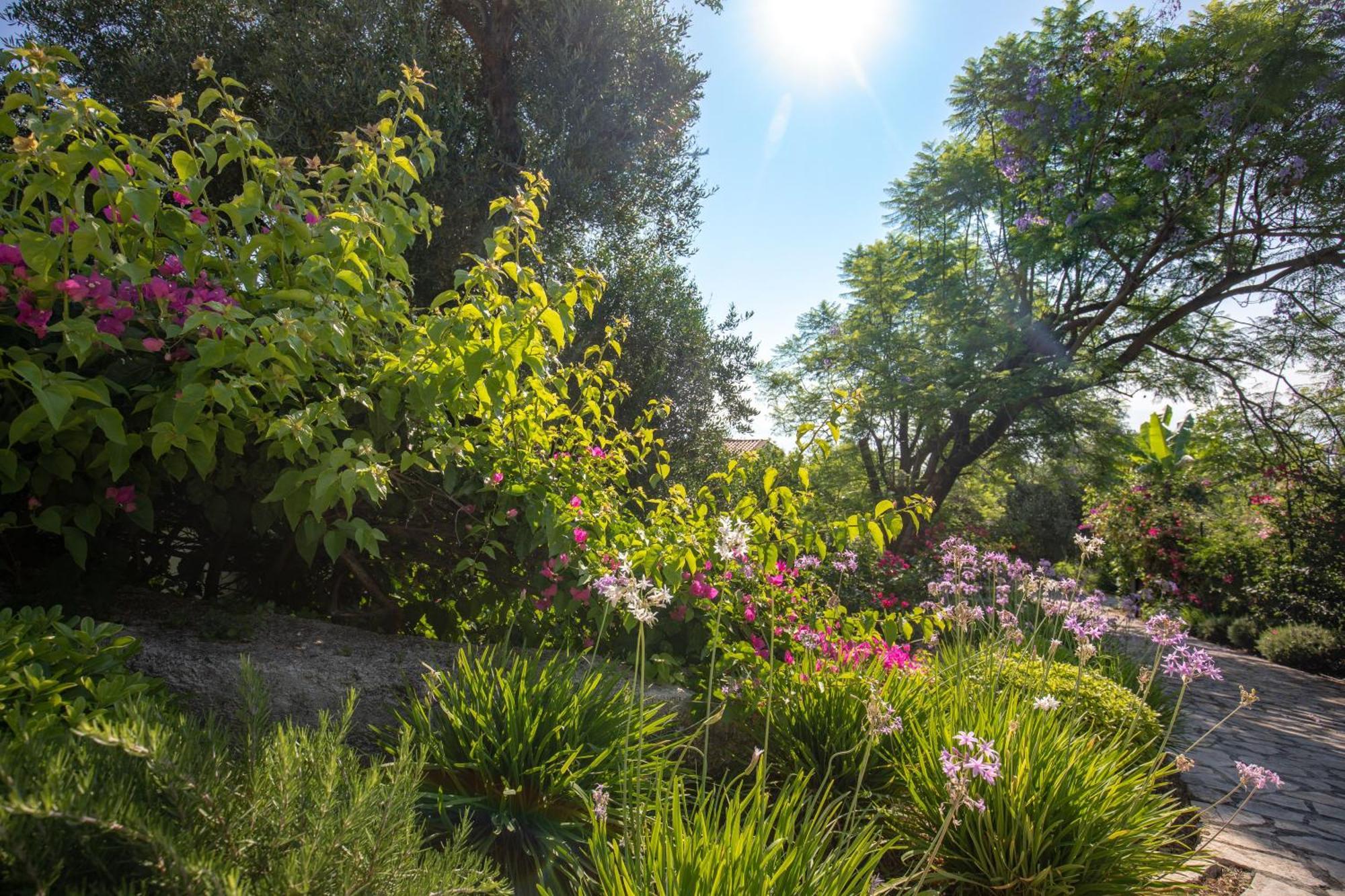Ionian Garden - Olea Villa