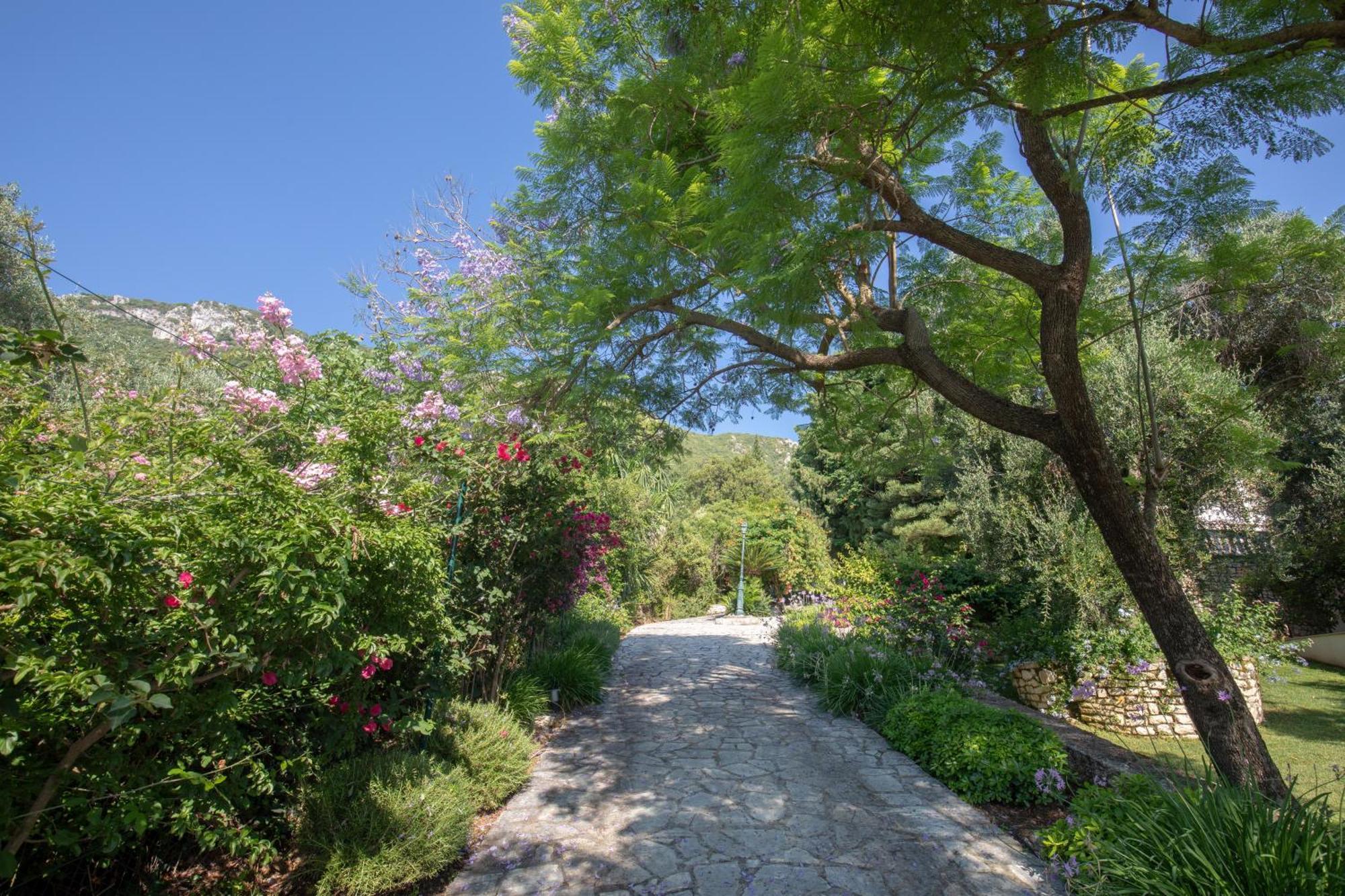 Ionian Garden - Olea Villa Benitses (Corfu)