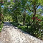 Ionian Garden Villas - Villa Olea