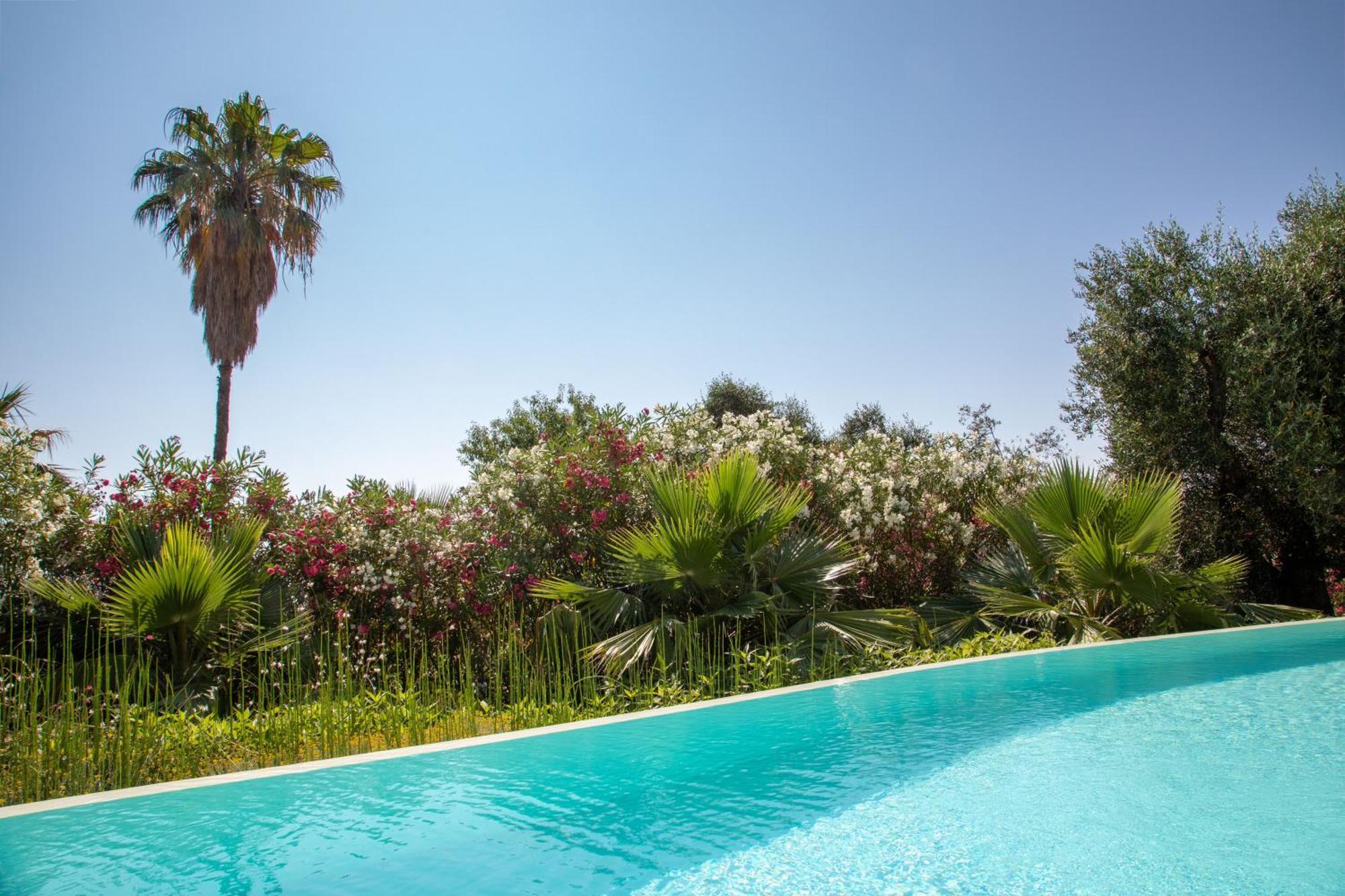 Ionian Garden - Olea *