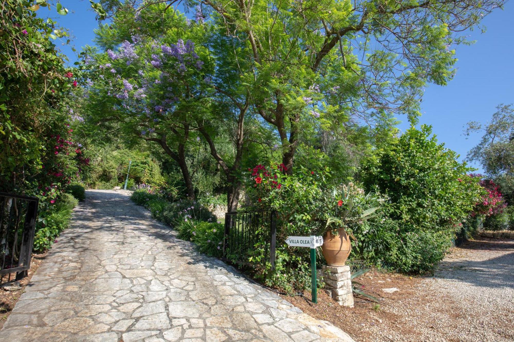 Villa Ionian Garden - Olea Benitses (Corfu)